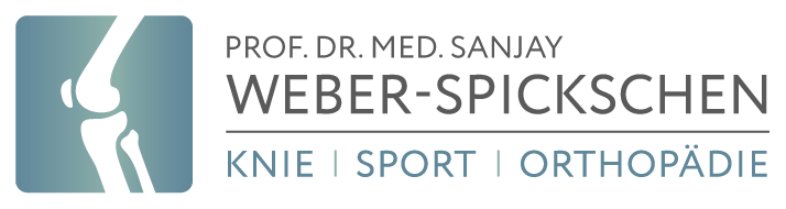 weber-spickschen-logo